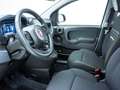 Fiat Panda Pandina City Paket 1.0 Mild Hybrid PDC Klima (NW88 Blanc - thumbnail 6