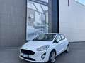 Ford Fiesta 5p 1.5 tdci Vignale 85cv - thumbnail 2