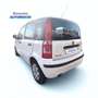 Fiat Panda 1.2 Dynamic Blanco - thumbnail 2