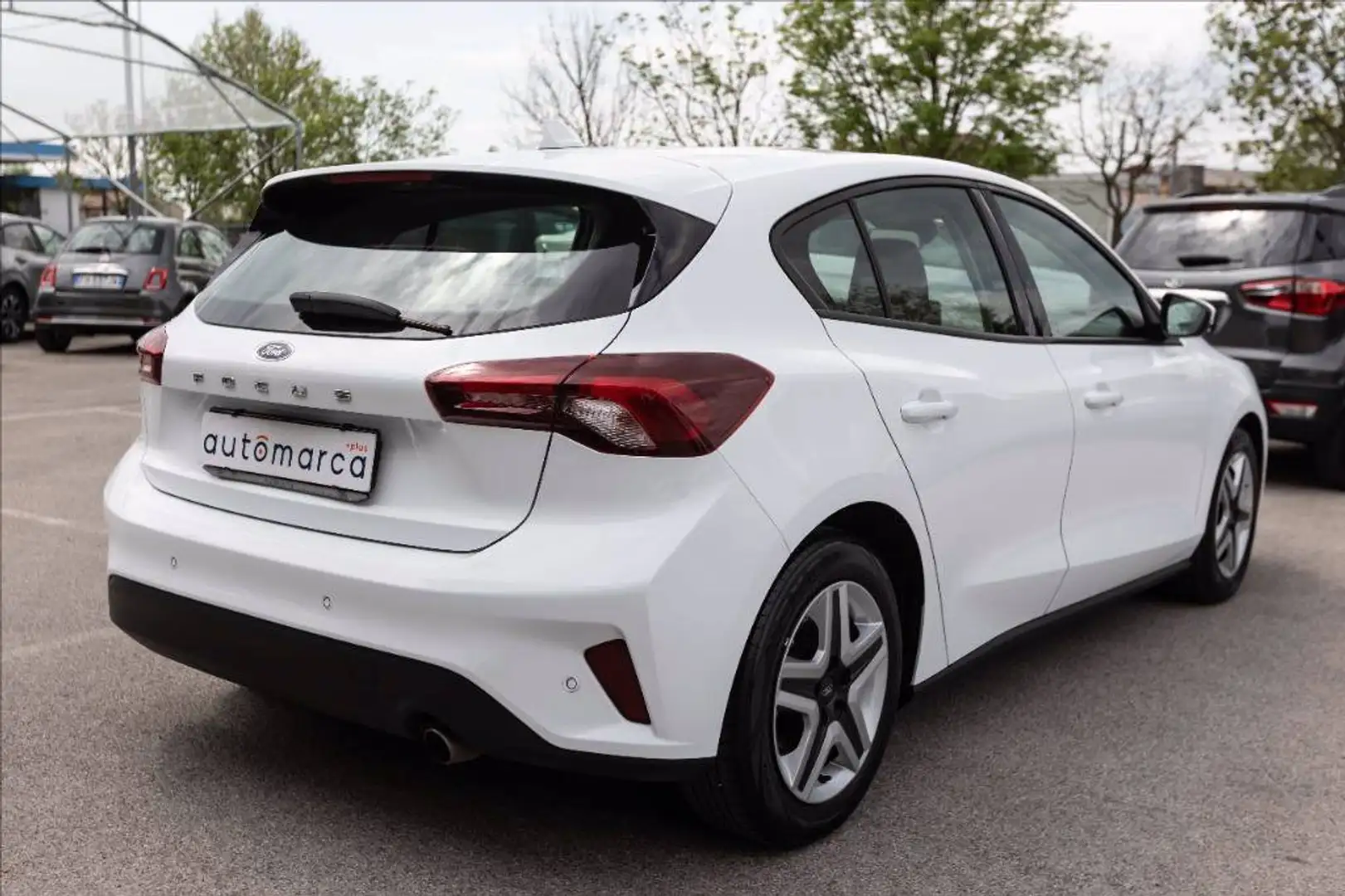 Ford Focus 1.5 ecoblue Business 120cv Bianco - 2
