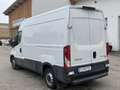 Iveco Daily 33S12 3000 Weiß - thumbnail 3