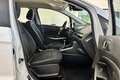 Ford EcoSport 1.0 EcoBoost 100 CV Plus Weiß - thumbnail 8