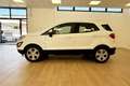 Ford EcoSport 1.0 EcoBoost 100 CV Plus Weiß - thumbnail 4