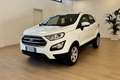 Ford EcoSport 1.0 EcoBoost 100 CV Plus Weiß - thumbnail 3