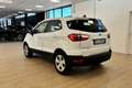 Ford EcoSport 1.0 EcoBoost 100 CV Plus Weiß - thumbnail 5