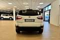 Ford EcoSport 1.0 EcoBoost 100 CV Plus Weiß - thumbnail 6