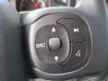 Fiat Panda 1.0 Hybrid City Life AIRCO / CRUISE CONTROLE / N.A Grijs - thumbnail 19