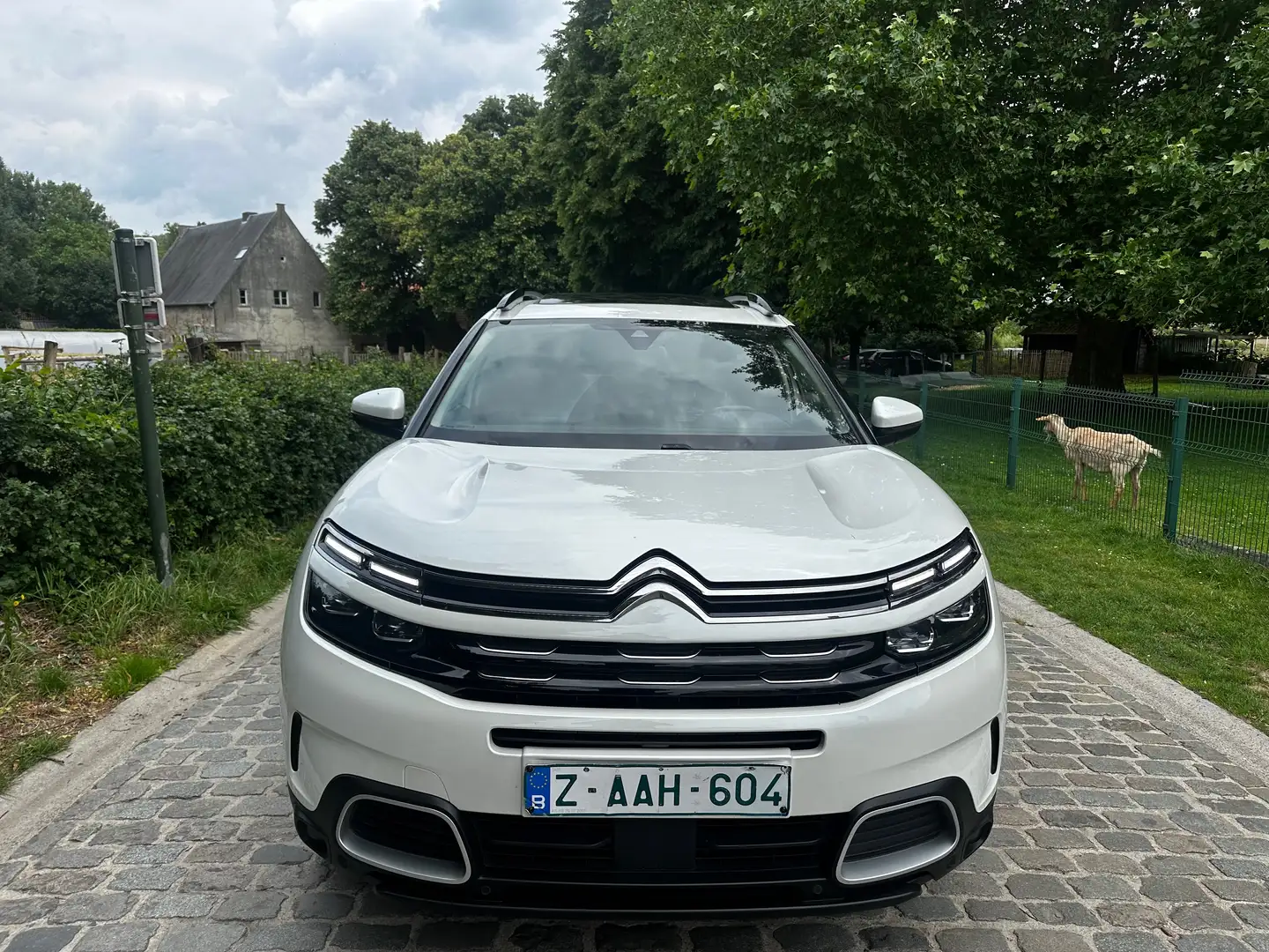 Citroen C5 Aircross C5 Aircross 1.6 *** AUTO *** Shine S FULL Wit - 2