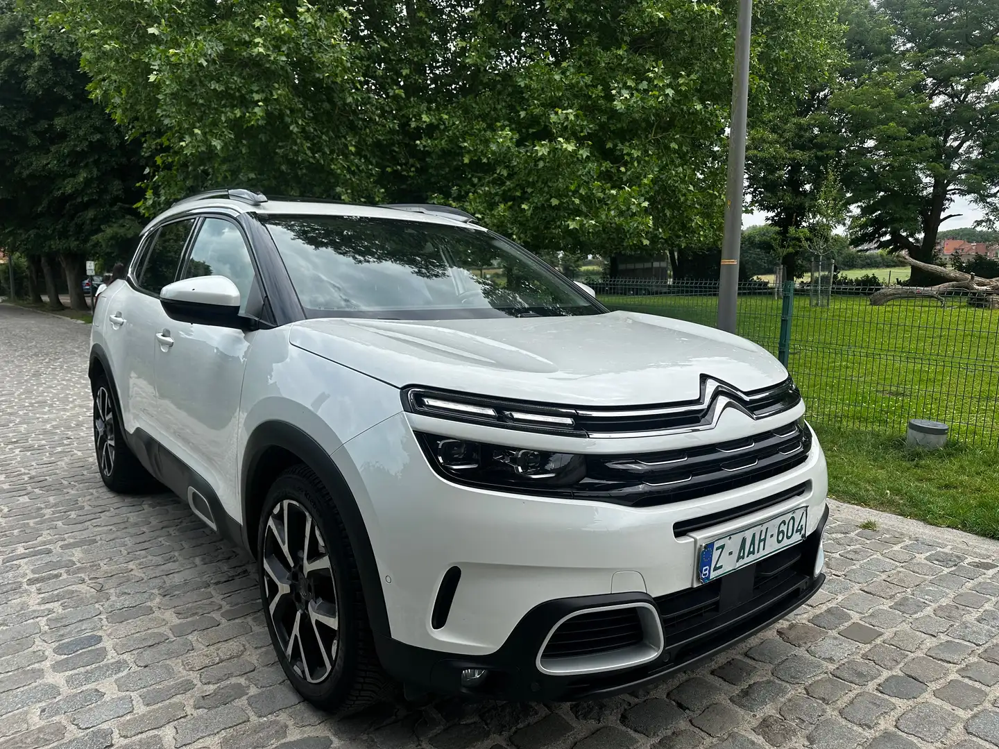Citroen C5 Aircross C5 Aircross 1.6 *** AUTO *** Shine S FULL Wit - 1