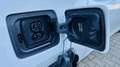 BMW i3 120AH  Navi Profess.  Kamera  LED Weiß - thumbnail 14