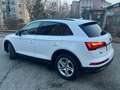 Audi Q5 Business Advanced 2.0 35 TDI MHEV Weiß - thumbnail 6