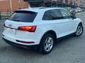 Audi Q5 Business Advanced 2.0 35 TDI MHEV Weiß - thumbnail 4