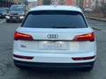Audi Q5 Business Advanced 2.0 35 TDI MHEV Weiß - thumbnail 5