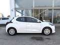 Toyota Yaris Yaris IV 2020 1.5h Business Bianco - thumbnail 3