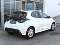 Toyota Yaris Yaris IV 2020 1.5h Business Bianco - thumbnail 5