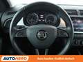 Skoda Fabia 1.0 TSI Ambition*SHZ*KLIMA*GARANTIE* Grau - thumbnail 19