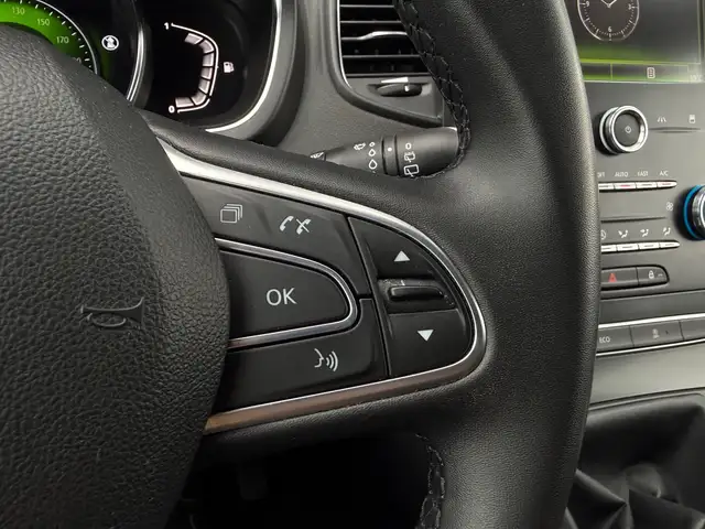 Renault Grand Scenic view 18