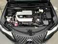 Lexus UX 250h UX 250hybrid CAMERA*ALCANTARA*CARPLAY*LED*ACC*PDC Noir - thumbnail 30