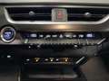 Lexus UX 250h UX 250hybrid CAMERA*ALCANTARA*CARPLAY*LED*ACC*PDC Noir - thumbnail 19