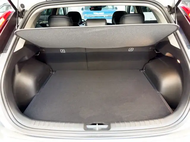 Kia E-Niro view 6