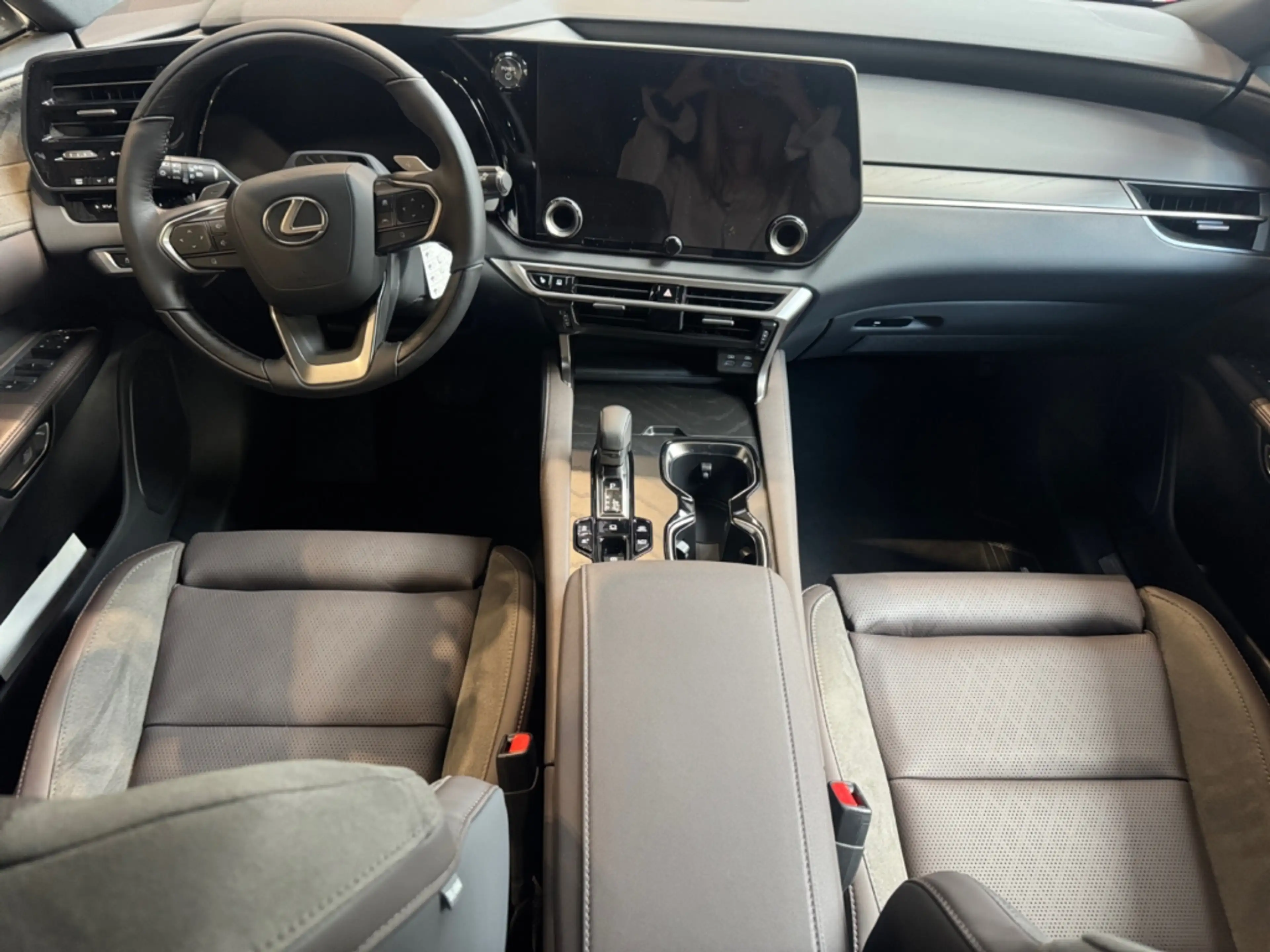 Lexus RX 450h + (Plug-in-Hybrid) Luxury *LED*360°*Pano* Allrad A — photo 8