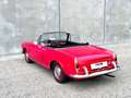 Fiat Fiat 1500 Cabrio Pininfarina Rot - thumbnail 11