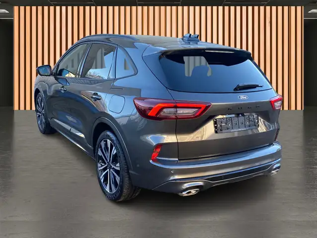 Ford Kuga view 14