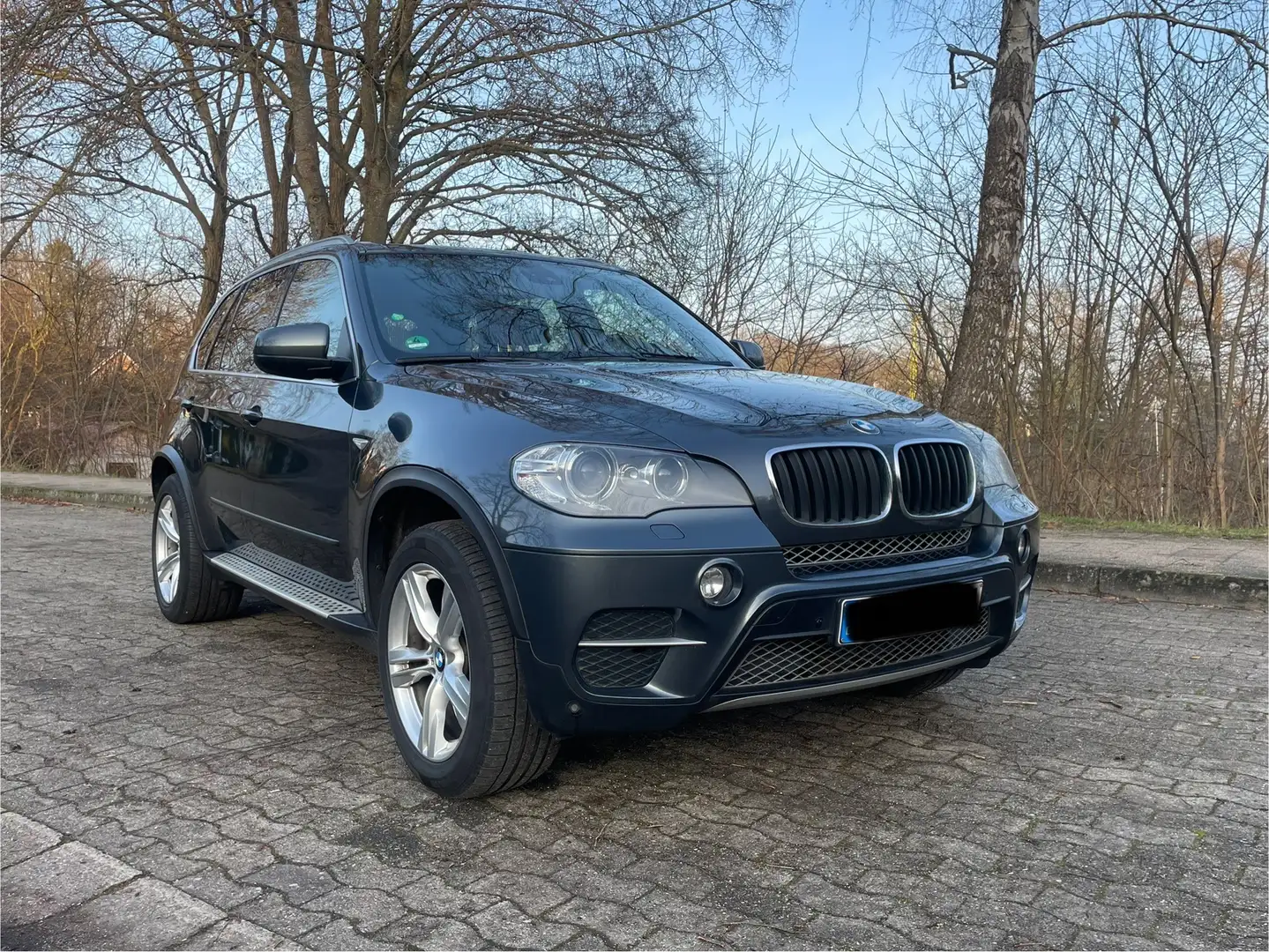BMW X5 xDrive30d - 1