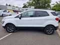 Ford EcoSport Cool & Connect*Klima*Tempo*W.-Paket* Weiß - thumbnail 9