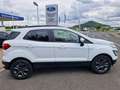 Ford EcoSport Cool & Connect*Klima*Tempo*W.-Paket* Weiß - thumbnail 8