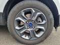Ford EcoSport Cool & Connect*Klima*Tempo*W.-Paket* Weiß - thumbnail 15