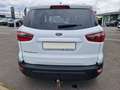 Ford EcoSport Cool & Connect*Klima*Tempo*W.-Paket* Weiß - thumbnail 6