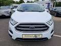 Ford EcoSport Cool & Connect*Klima*Tempo*W.-Paket* Weiß - thumbnail 5