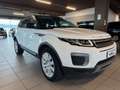Land Rover Range Rover Evoque Range Rover Evoque 2.0 eD4 5p. Pure Bianco - thumbnail 1
