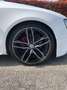 Audi A5 Sportback 2.0 tdi Ambiente Bianco - thumbnail 11