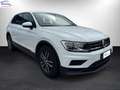 Volkswagen Tiguan 1.6 tdi Business 115cv Blanc - thumbnail 3