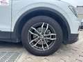 Volkswagen Tiguan 1.6 tdi Business 115cv Blanc - thumbnail 32