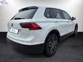 Volkswagen Tiguan 1.6 tdi Business 115cv Blanc - thumbnail 4