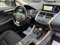 Lexus NX 300 2.5 Executive 4wd UNIPRO Tagliando + Garanzia 12m. Schwarz - thumbnail 14