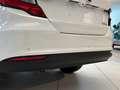 Fiat Tipo 4p 1.6 mjt Tipo s&s 130cv Weiß - thumbnail 29