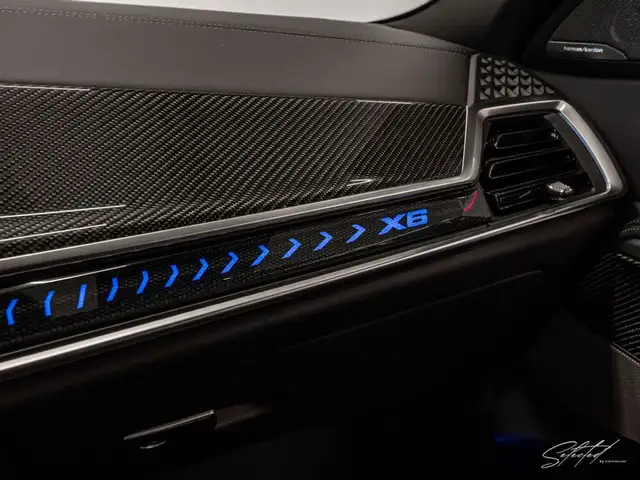 BMW X6 30d xDrive M-SPORT *AHK*PANO*STANDHEIZ.*LED*21'' Ansicht 40