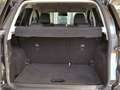 Ford EcoSport ST-Line Navi Kamera AHK Winterp. B&O Grau - thumbnail 12