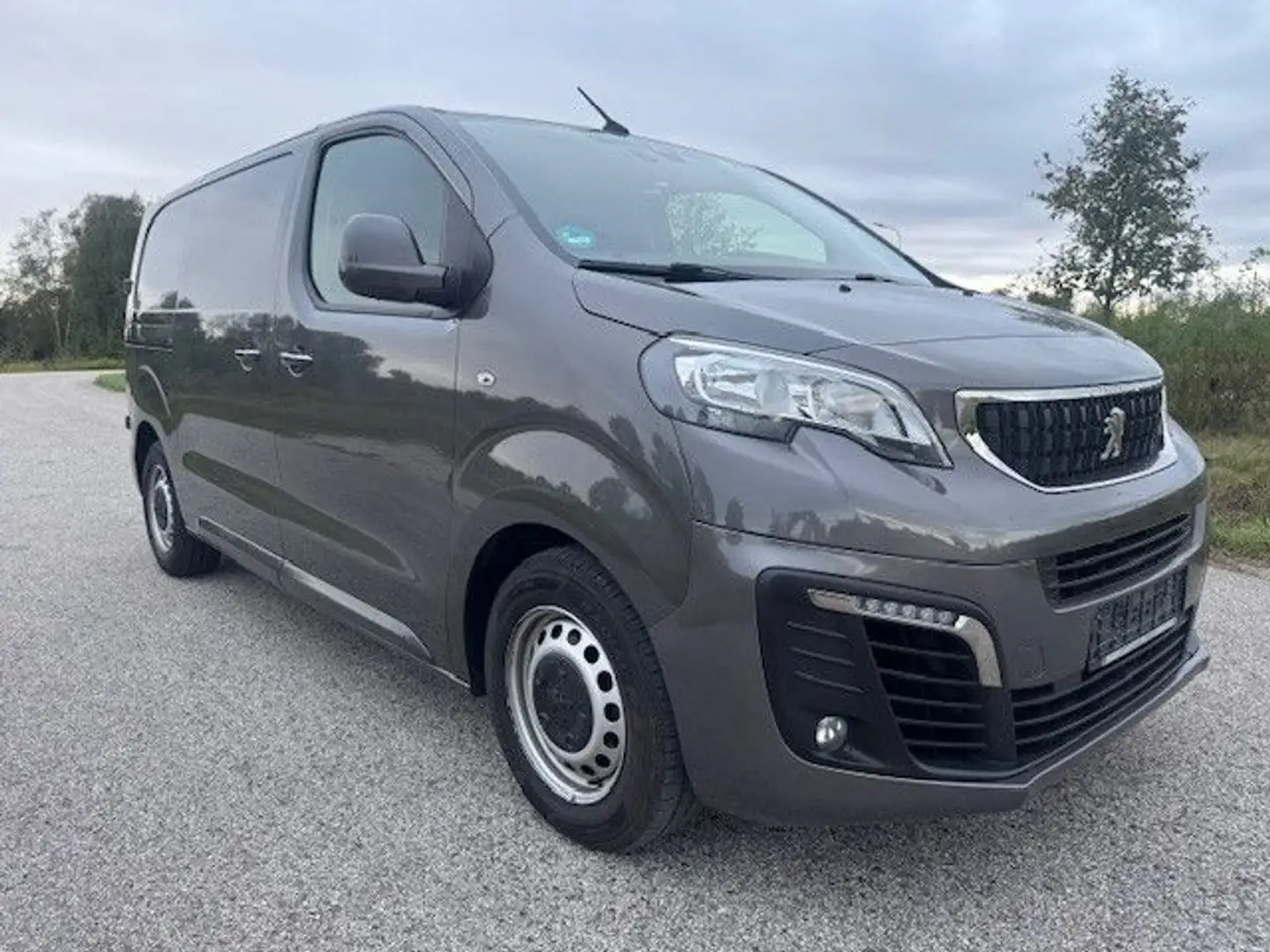 Peugeot Expert Kasten Premium L2 Gris - 1