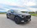 Mazda CX-80 3.3L e-SKYACTIV D AWD Homura Plus Schwarz - thumbnail 4
