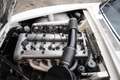 Alfa Romeo Sprint 2600 Completely overhauled engine block, Nice driv Blanco - thumbnail 32