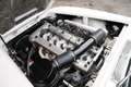 Alfa Romeo Sprint 2600 Completely overhauled engine block, Nice driv Blanco - thumbnail 31