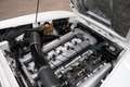 Alfa Romeo Sprint 2600 Completely overhauled engine block, Nice driv White - thumbnail 4