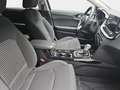 Kia Ceed SW / cee'd SW CEED SW 1.5 T-GDI 48V DCT7 ULTIMATE EDITION STYLE Grigio - thumbnail 17