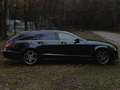 Mercedes-Benz CLS 250 CLS 250 BlueTEC 4-Matic Schwarz - thumbnail 4