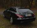 Mercedes-Benz CLS 250 CLS 250 BlueTEC 4-Matic Schwarz - thumbnail 8